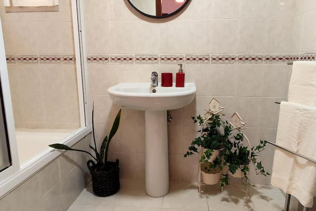 Jardim Sol Holiday Apartment Фуншал Екстериор снимка